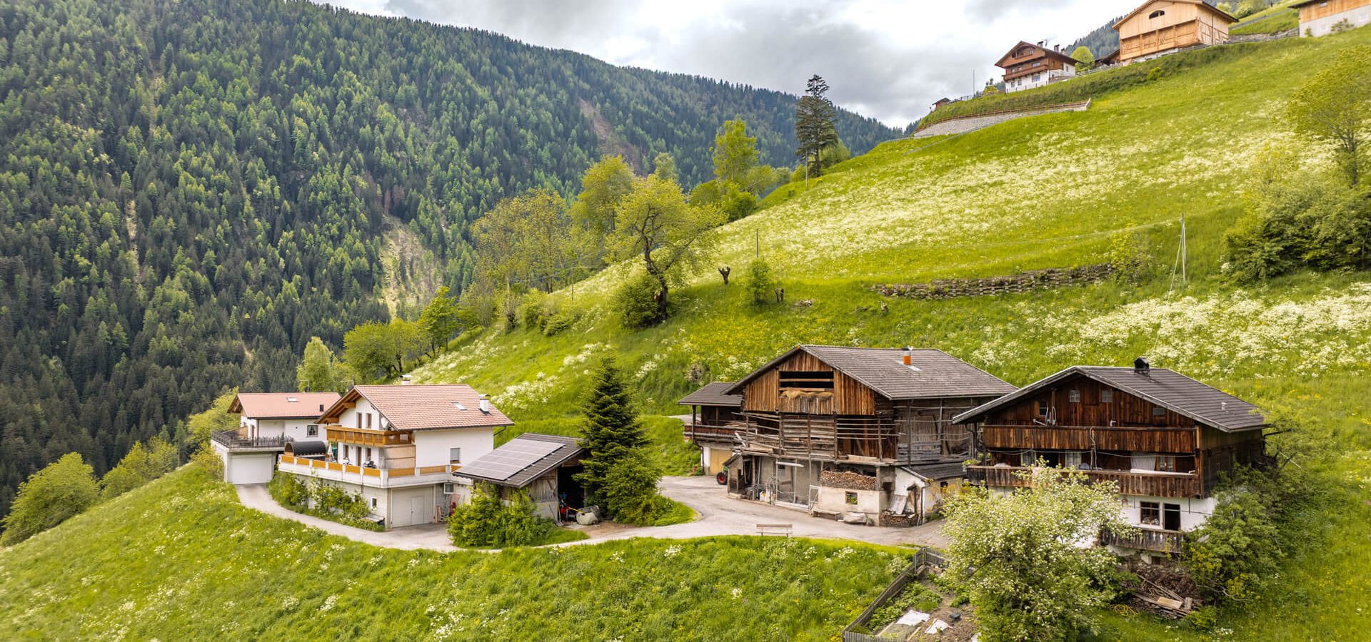 Tratterhof2025 9 (2) (1) Tratterhof2025 9 (2) (1)